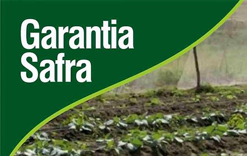 Devido ao coronavírus, agricultores Familiares de Mairi têm pagamento integral de R$ 850 do Garantia Safra