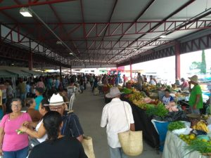 Contra Coronavírus: Prefeitura de Mairi determina que apenas feirantes do município poderão comercializar na Feira Livre